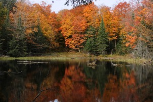 Beaver Pond Lake